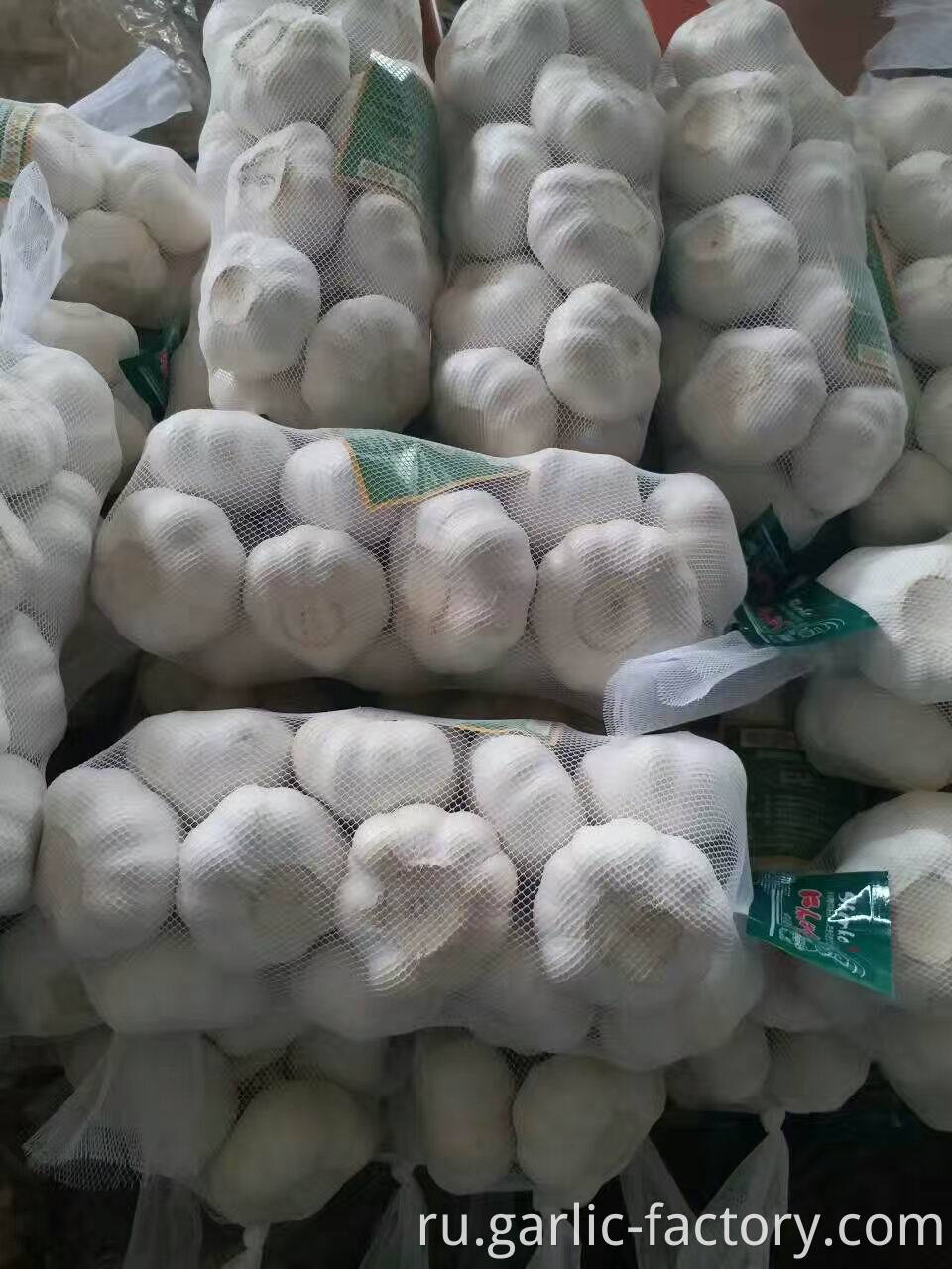 Fresh Garlic 1kg mesh bag 10kg carton